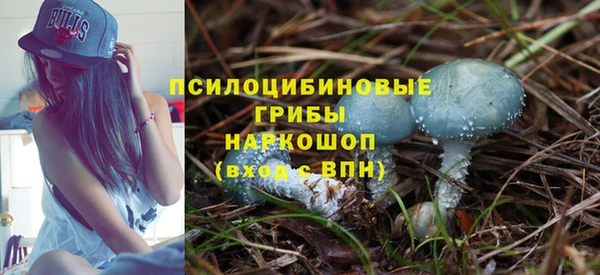 скорость Алексин