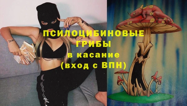 круглые Алзамай