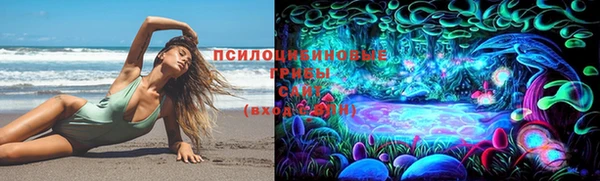 круглые Алзамай