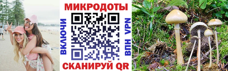 наркотики  ссылка на мегу ССЫЛКА  Псилоцибиновые грибы MAGIC MUSHROOMS  Ачхой-Мартан 
